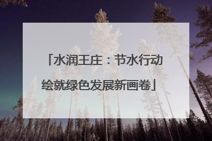 水润王庄：节水行动绘就绿色发展新画卷