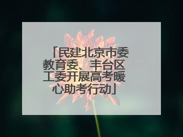 民建北京市委教育委、丰台区工委开展高考暖心助考行动