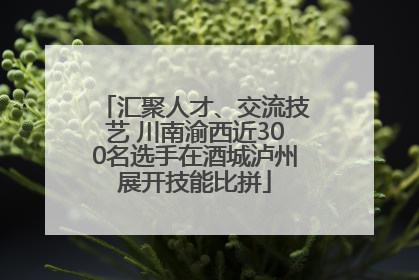 汇聚人才、交流技艺 川南渝西近300名选手在酒城泸州展开技能比拼