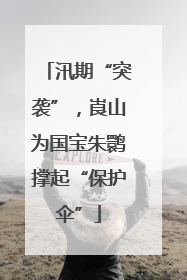 汛期“突袭”，崀山为国宝朱鹮撑起“保护伞”