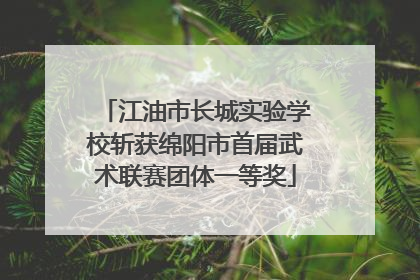 江油市长城实验学校斩获绵阳市首届武术联赛团体一等奖