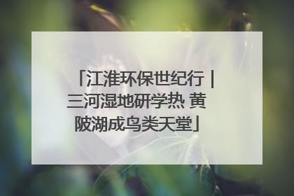 江淮环保世纪行｜三河湿地研学热 黄陂湖成鸟类天堂
