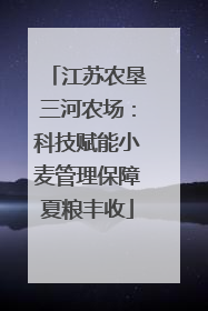 江苏农垦三河农场：科技赋能小麦管理保障夏粮丰收
