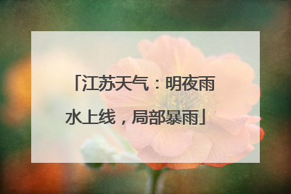 江苏天气：明夜雨水上线，局部暴雨