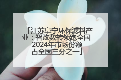 江苏阜宁环保滤料产业：智改数转领跑全国 2024年市场份额占全国三分之一