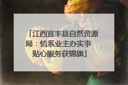 江西宜丰县自然资源局：情系业主办实事 贴心服务获锦旗