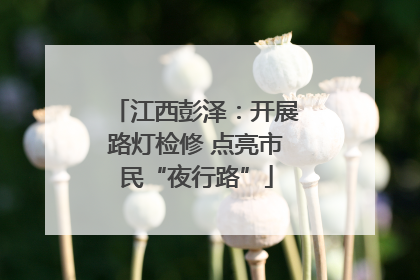 江西彭泽：开展路灯检修 点亮市民“夜行路”