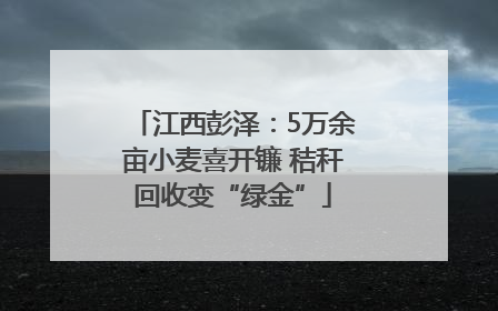 江西彭泽：5万余亩小麦喜开镰 秸秆回收变“绿金”