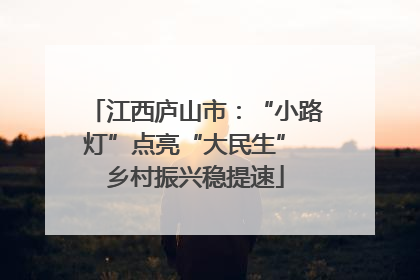 江西庐山市：“小路灯”点亮“大民生” 乡村振兴稳提速