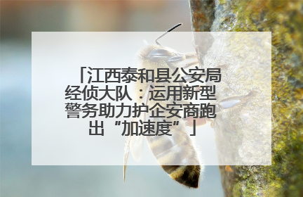 江西泰和县公安局经侦大队：运用新型警务助力护企安商跑出“加速度”
