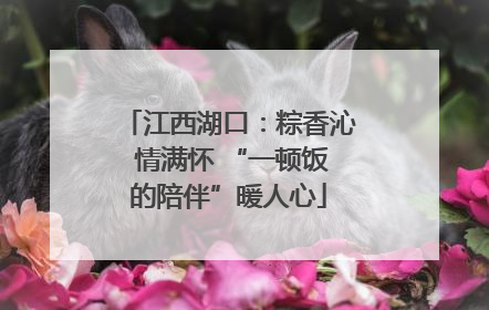 江西湖口：粽香沁 情满怀 “一顿饭的陪伴”暖人心