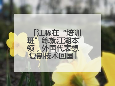 江豚在“培训班”练就江湖本领，外国代表想复制技术回国