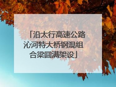 沿太行高速公路沁河特大桥钢混组合梁圆满架设