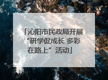 沁阳市民政局开展“研学促成长 多彩在路上”活动
