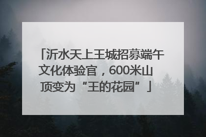 沂水天上王城招募端午文化体验官，600米山顶变为“王的花园”