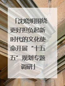 沈晓明围绕更好担负起新时代的文化使命开展“十五五”规划专题调研