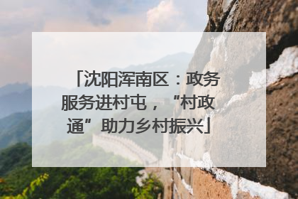 沈阳浑南区：政务服务进村屯，“村政通”助力乡村振兴