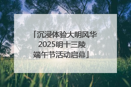 沉浸体验大明风华 2025明十三陵端午节活动启幕