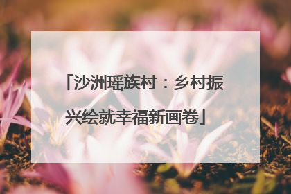 沙洲瑶族村：乡村振兴绘就幸福新画卷