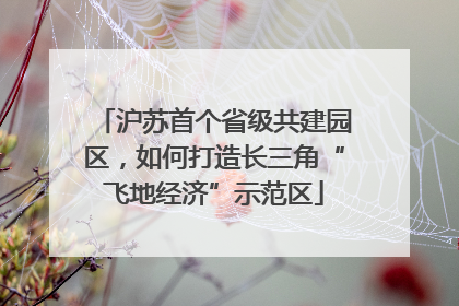 沪苏首个省级共建园区，如何打造长三角“飞地经济”示范区