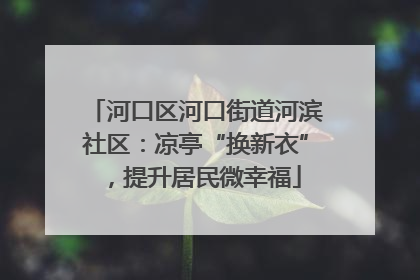 河口区河口街道河滨社区：凉亭“换新衣”，提升居民微幸福