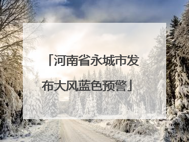 河南省永城市发布大风蓝色预警