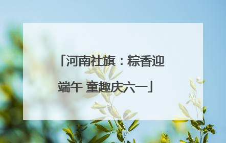 河南社旗：粽香迎端午 童趣庆六一