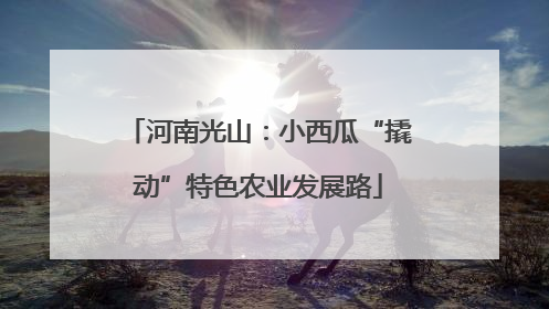 河南光山：小西瓜“撬动”特色农业发展路