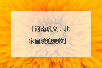 河南巩义：北宋皇陵迎麦收