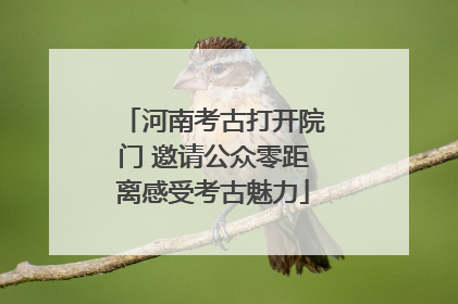 河南考古打开院门 邀请公众零距离感受考古魅力