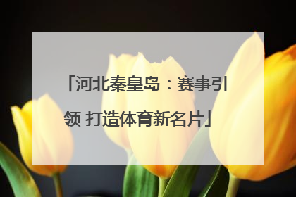 河北秦皇岛：赛事引领 打造体育新名片