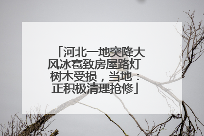 河北一地突降大风冰雹致房屋路灯树木受损，当地：正积极清理抢修
