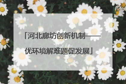 河北廊坊创新机制——优环境解难题促发展