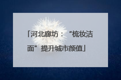 河北廊坊：“梳妆洁面”提升城市颜值