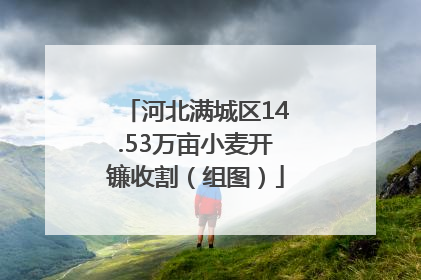 河北满城区14.53万亩小麦开镰收割（组图）