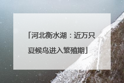 河北衡水湖：近万只夏候鸟进入繁殖期