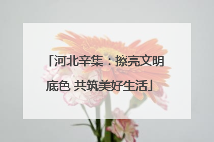 河北辛集：擦亮文明底色 共筑美好生活