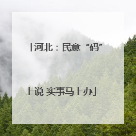 河北：民意“码”上说 实事马上办