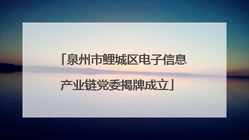 泉州市鲤城区电子信息产业链党委揭牌成立