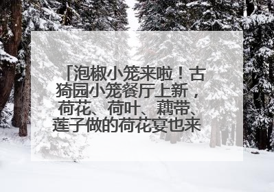 泡椒小笼来啦！古猗园小笼餐厅上新，荷花、荷叶、藕带、莲子做的荷花宴也来尝一下？