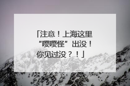注意！上海这里“嘤嘤怪”出没！你见过没？！