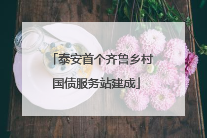 泰安首个齐鲁乡村国债服务站建成