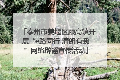 泰州市姜堰区顾高镇开展“e路同行 清朗有我”网络辟谣宣传活动