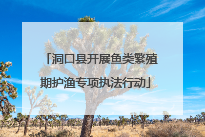 洞口县开展鱼类繁殖期护渔专项执法行动
