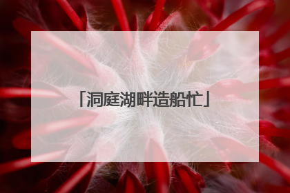洞庭湖畔造船忙