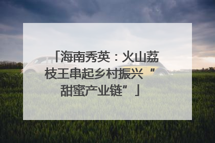 海南秀英：火山荔枝王串起乡村振兴“甜蜜产业链”