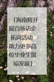 海南将开展百场访企拓岗活动 助力更多高校毕业生留琼发展