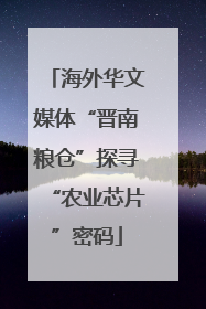 海外华文媒体“晋南粮仓”探寻“农业芯片”密码