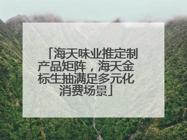 海天味业推定制产品矩阵，海天金标生抽满足多元化消费场景