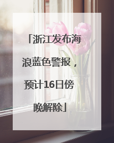 浙江发布海浪蓝色警报，预计16日傍晚解除
